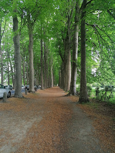 Drève de Mariemont 7170 Manage, Belgique