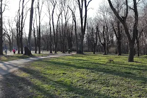 Park Imeni Yuriya Gagarina image