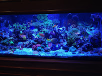 Sioux Falls Aquatics - Photo 3 - Car repair in Sioux Falls, SD, Sioux Falls