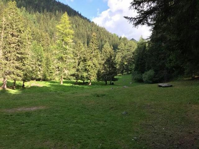 Photo n° 5 de l'avis de Ysaline.o fait le 19/08/2018 à 09:19