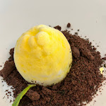 Photo n°11 de l'avis de Clara.. fait le 04/07/2023 à 10:40 sur le  La Fonte - Ristorante Vineria Enoteca à Acqui Terme