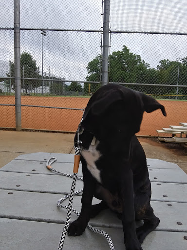 Park «Best Friend Park», reviews and photos, 6224 Jimmy Carter Blvd, Norcross, GA 30071, USA