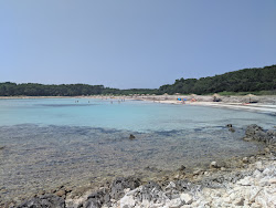 Foto di Spiaggia di Sakarun e il suo bellissimo paesaggio