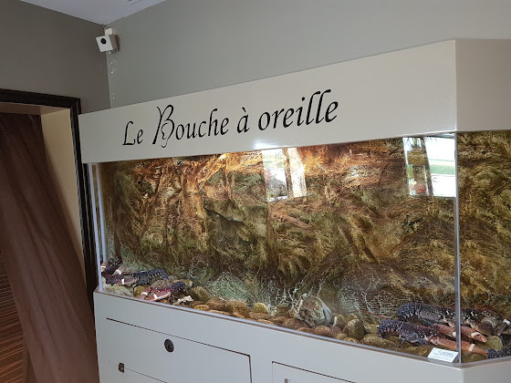 photo n° 26 du restaurants Le Bouche à Oreille à Boutervilliers