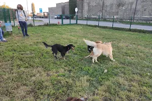 Parco per cani image