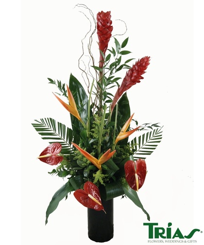 Florist «Trias Flowers & Gifts», reviews and photos, 6520 SW 40th St, Miami, FL 33155, USA