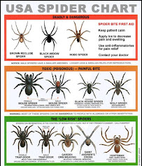 D & S - Photo 6 - Car repair in Spring Valley, CA, San Diego