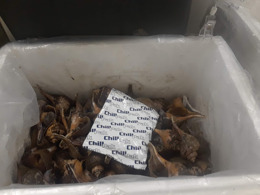 Asian Grocery Store «Far East Grocery Market Inc», reviews and photos, 734 Park St, Whitehall, PA 18052, USA