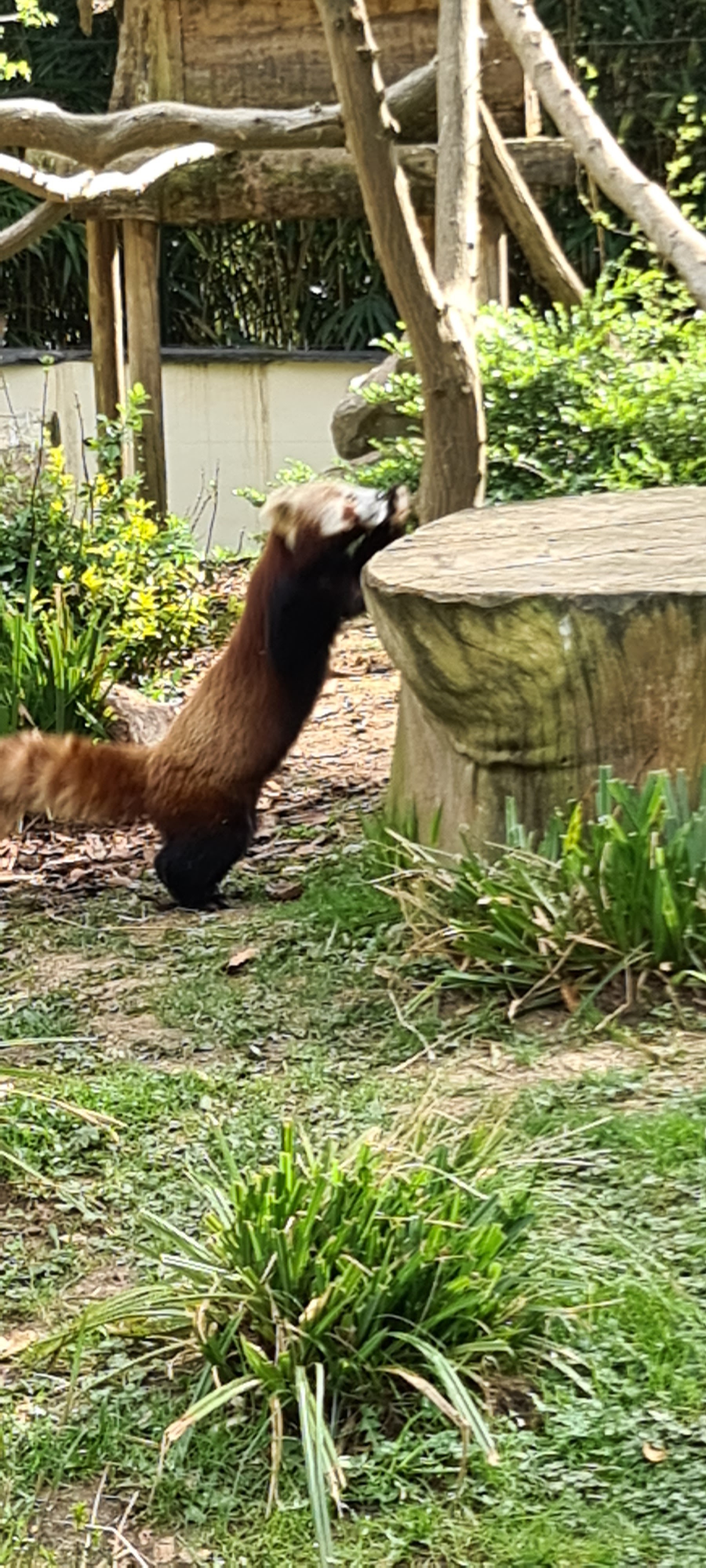 Photo n° 12 de l'avis de René.E fait le 14/04/2022 à 20:28