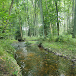 Photo n°1 de l'avis de Dani.a fait le 05/09/2021 à 15:38 sur le  Meuschkensmühle - Mühltal à Weißenborn