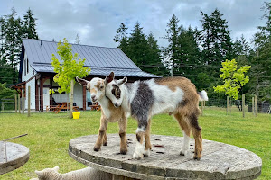 Yellow Point Farms