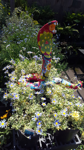 Hardware Store «Santa Barbara Home Improvement Center», reviews and photos, 415 E Gutierrez St, Santa Barbara, CA 93101, USA