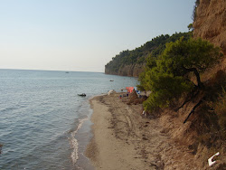 Photo de Andrea beach avec un rivage spacieux