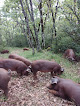 La ferme de Rouges Parets La Canourgue