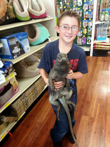 Pet Supply Store «Pet Supermarket», reviews and photos, 2924 13th St, St Cloud, FL 34769, USA