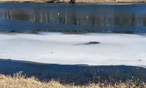 Park «Roanoke Community Park», reviews and photos, 201 Park Dr, Roanoke, TX 76262, USA