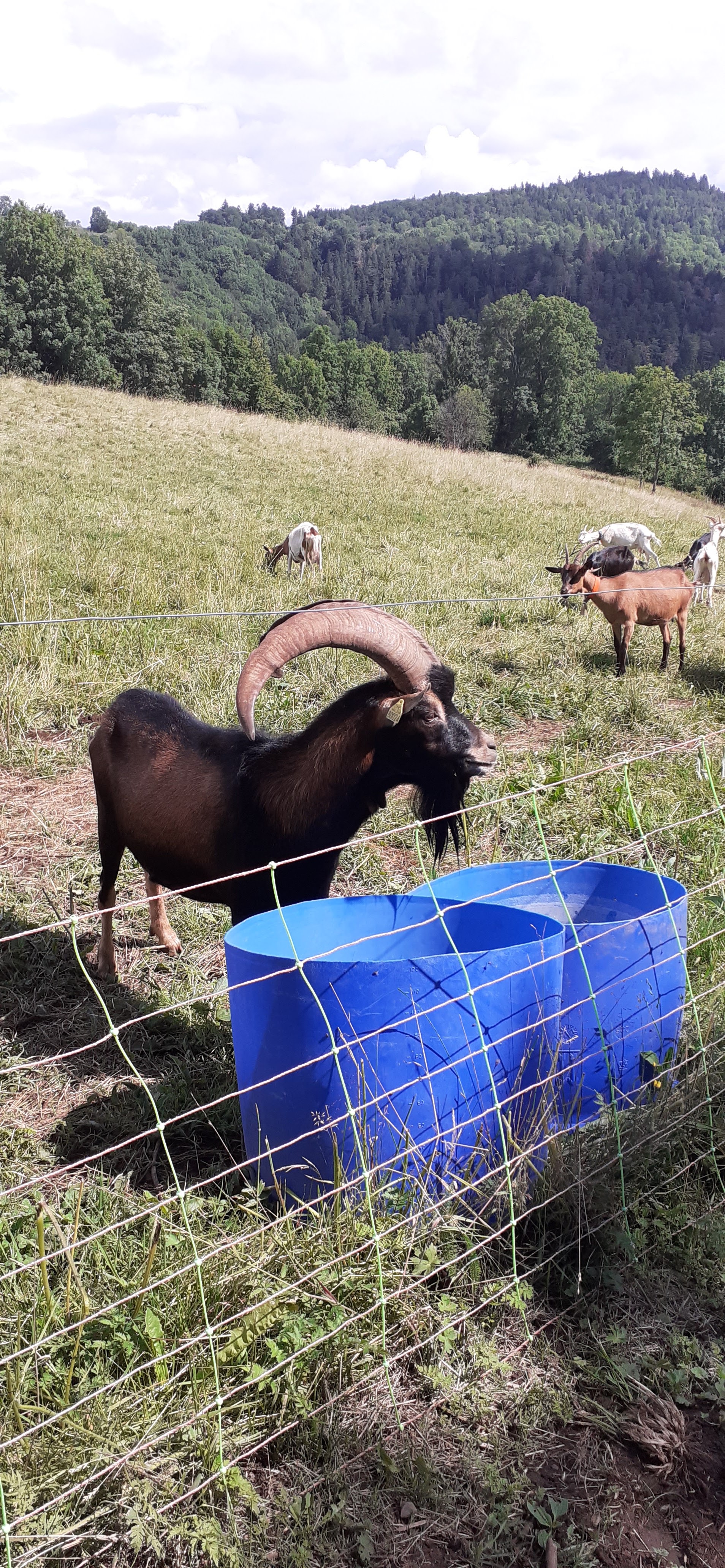 Photo n° 2 de l'avis de k. fait le 13/07/2021 à 17:11
