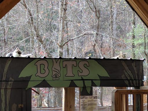 Zoo «North Georgia Zoo & Farm», reviews and photos, 2912 Paradise Valley Rd, Cleveland, GA 30528, USA