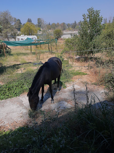 Las Cabras, O'Higgins, Chile
