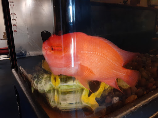 Silver Palace Chinese Restaurant image