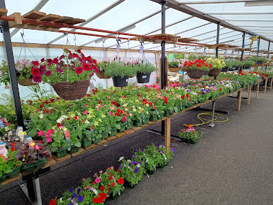 Larton In Bloom Larton, Birkenhead, Wirral CH48 1PL, United Kingdom
