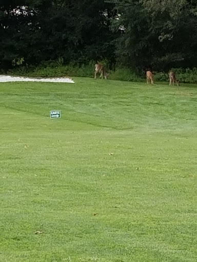 Golf Course «Preakness Valley Golf Course», reviews and photos, 209 Totowa Rd, Wayne, NJ 07470, USA