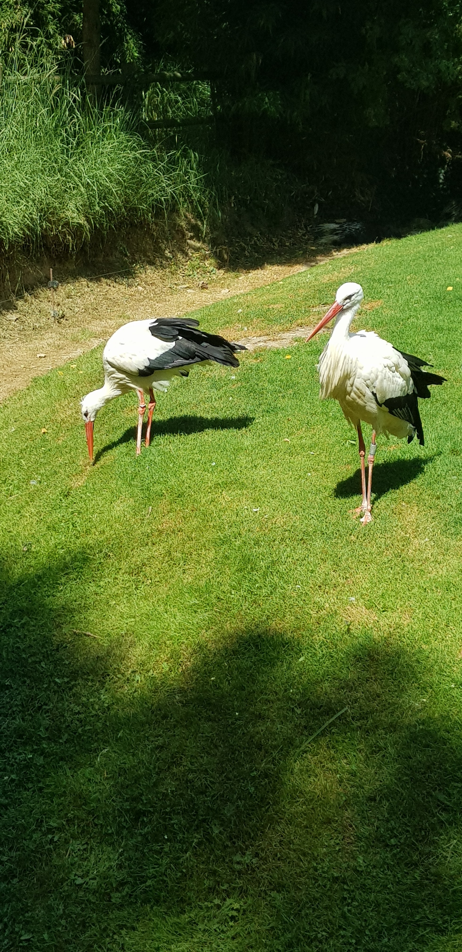 Photo n° 1 de l'avis de Laetitia.u fait le 03/08/2019 à 09:58