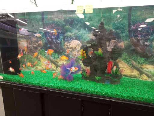 Pet Supply Store «Global Aquatics & Pet Supplies», reviews and photos, 1420 S Carlos Ave, Ontario, CA 91761, USA