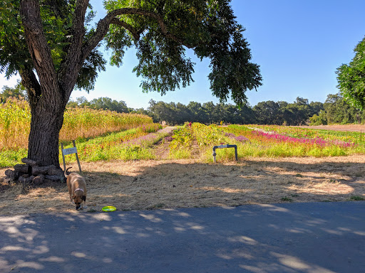 Farm «Oak Hill Farm», reviews and photos, 15101 CA-12, Glen Ellen, CA 95442, USA