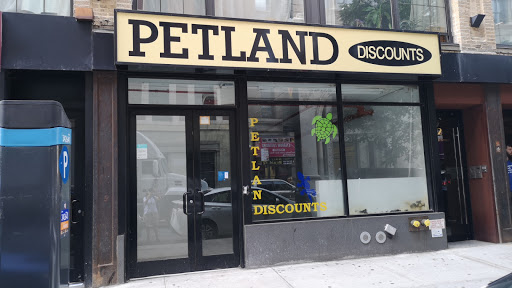 Pet Store «Petland Discounts - Willoughby», reviews and photos, 72 Willoughby St, Brooklyn, NY 11201, USA
