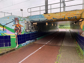 Vincent tunnel