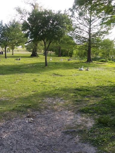 Tourist Attraction «Winfrey Point», reviews and photos, 950 E Lawther Dr, Dallas, TX 75218, USA