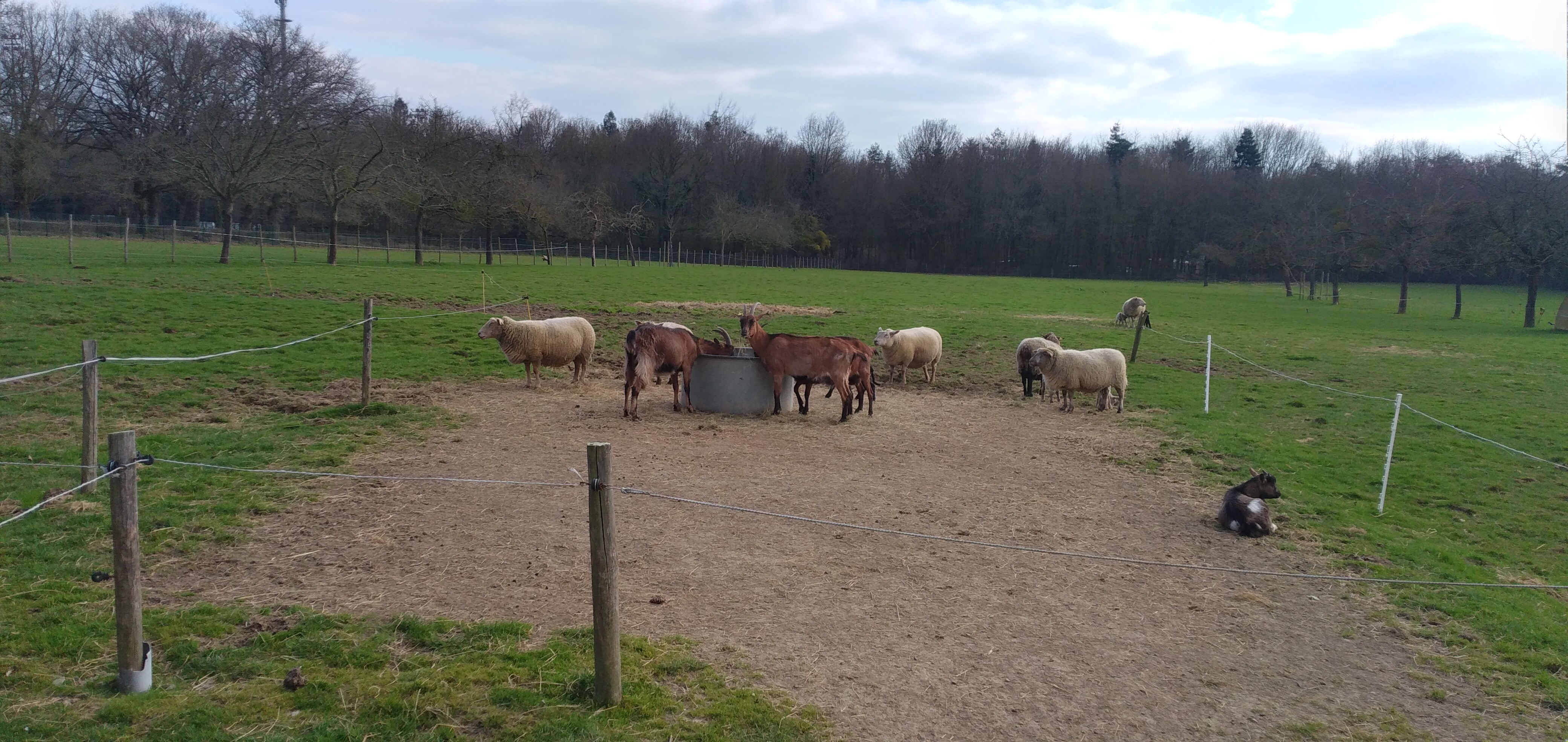 Photo n° 2 de l'avis de Mohamed.a fait le 05/03/2021 à 16:54