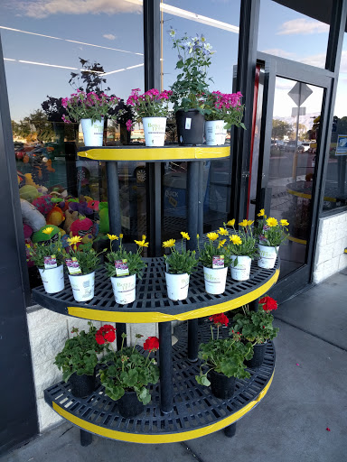 Discount Store «Walmart», reviews and photos, 3041 N Rainbow Blvd, Las Vegas, NV 89108, USA