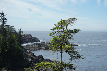 Pacific Rim National Park Reserve - Long Beach Unit