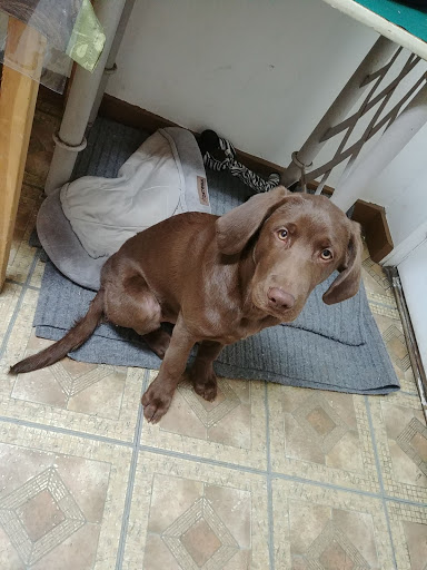 Pet Supply Store «Petco Animal Supplies», reviews and photos, 10 Waterfront Pl, Port Chester, NY 10573, USA