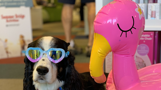 Toy Store «Kidstop», reviews and photos, 6990 E Shea Blvd #103, Scottsdale, AZ 85254, USA