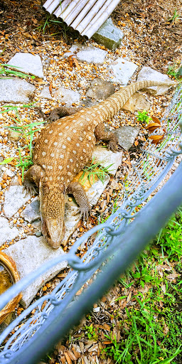 Pet Store «Fins and Skins», reviews and photos, 8451 49th St N, Pinellas Park, FL 33781, USA