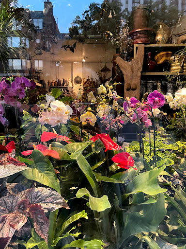 Florist «Green Inc», reviews and photos, 1718 N Wells St, Chicago, IL 60614, USA