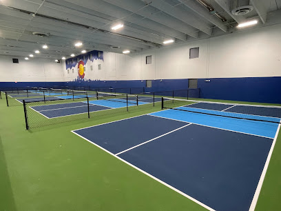 Springs Pickleball (9 Indoor Courts)
