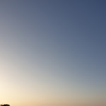 Photo n°3 de l'avis de Lucia.e fait le 11/07/2020 à 22:38 sur le  Ristorante guarracino à Casamicciola Terme