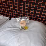 Photo n°3 de l'avis de Tina.i fait le 17/08/2023 à 18:32 sur le  Superbude Hotel Hamburg St. Pauli à Hamburg