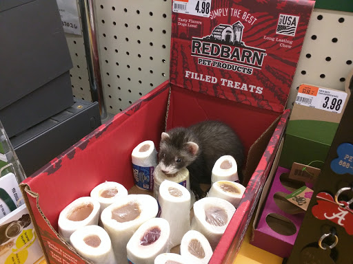 Pet Supply Store «Pet Supplies Plus», reviews and photos, 228 Gadsden Hwy, Birmingham, AL 35235, USA