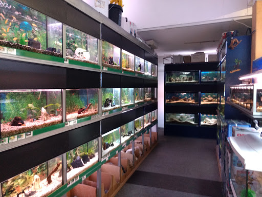 Chiemgauer Zierfisch Center Martin Zillner unter Traunreut, 