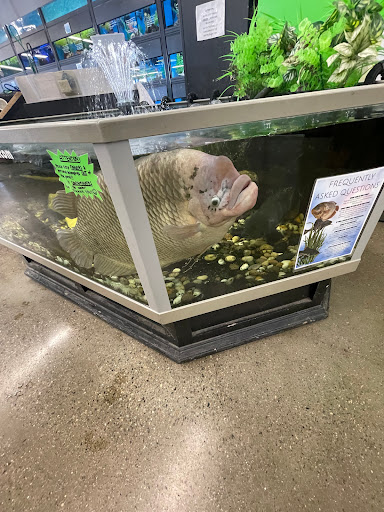 Pet Supply Store «Pet Express», reviews and photos, 180 Commercial St, Lynn, MA 01905, USA