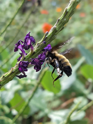 Park «Wall Springs Park», reviews and photos, 3725 Desoto Blvd, Palm Harbor, FL 34683, USA