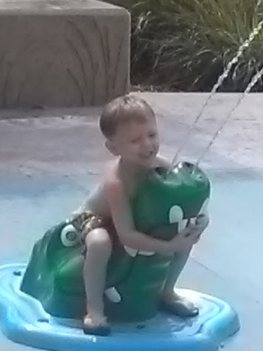 Park «Cypress Preserve Park», reviews and photos, 9020 NW 38th St, Sunrise, FL 33351, USA