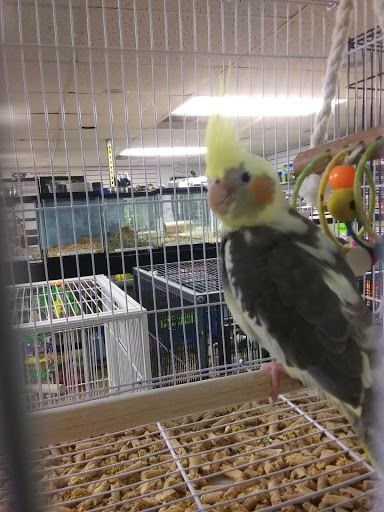 Pet Store «Pet Zone», reviews and photos, 8925 Jewella Ave #4, Shreveport, LA 71118, USA