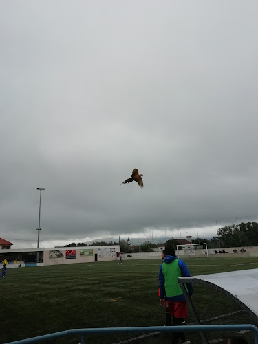 Avaliações doCampo Futebol Lanheses em Viana do Castelo - Campo de futebol