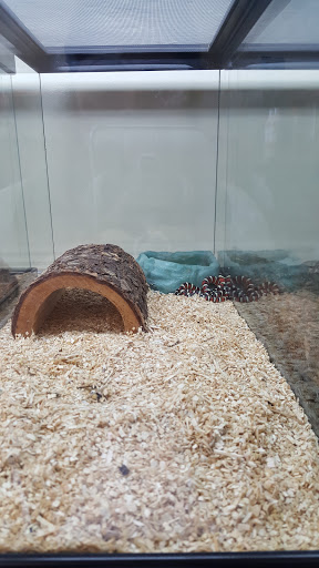 Reptile Store «Jurassic Pet Supplies», reviews and photos, 695 W Holt Ave #104, Pomona, CA 91768, USA